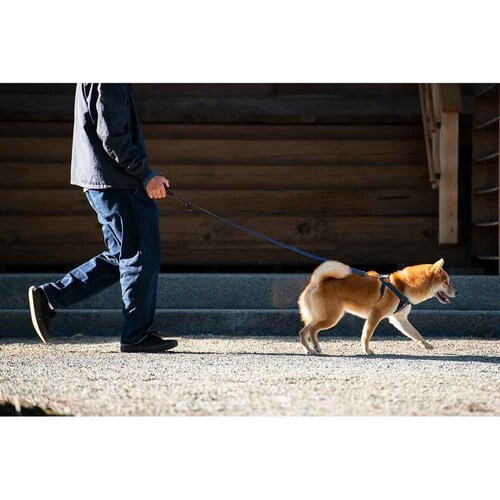 p [h \tgg[i[ 120cm fj  EZYDOG C[W[hbO_1