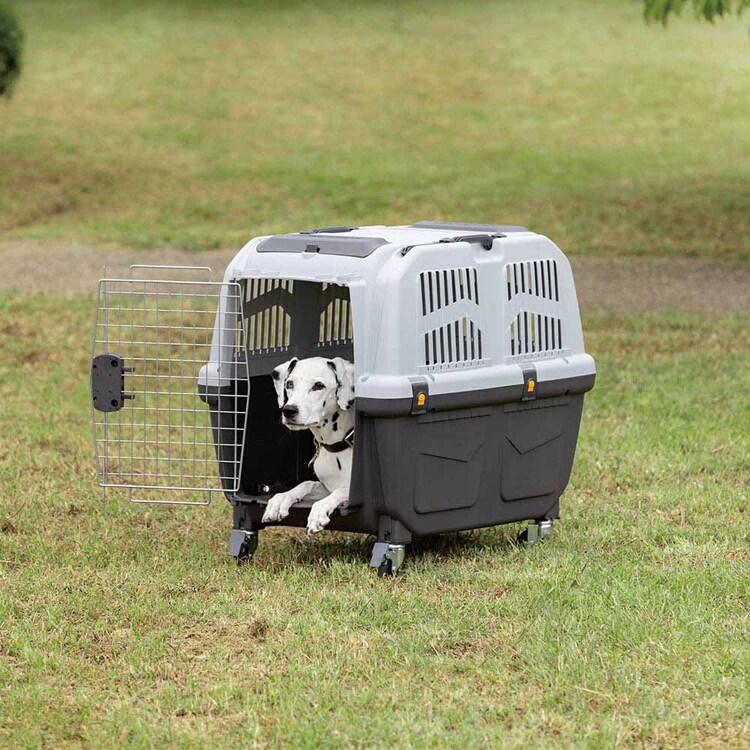 ダッドウェイペット ペット･ケージ/SKUDOイアタ/サイズ6（XL） PTMP00206 【プラザセレクト】