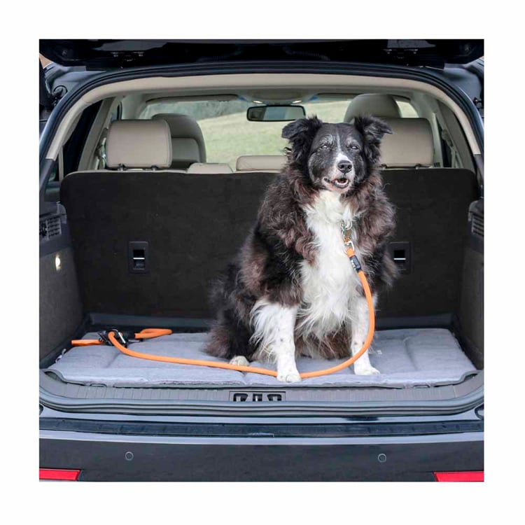 ダッドウェイペット クレート・ベッド/S PTTL142418 【プラザセレクト】