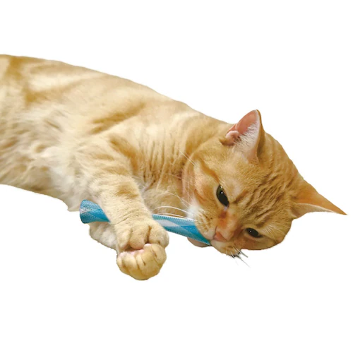 猫ちゃん歯ブラシ かみかみ歯ピカ 2個_1