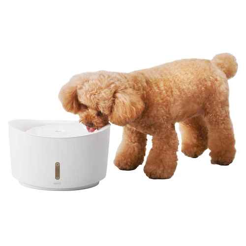 GEX �s���A�N���X�^�� �E�F�� 1.5L ���p �z���C�g_1