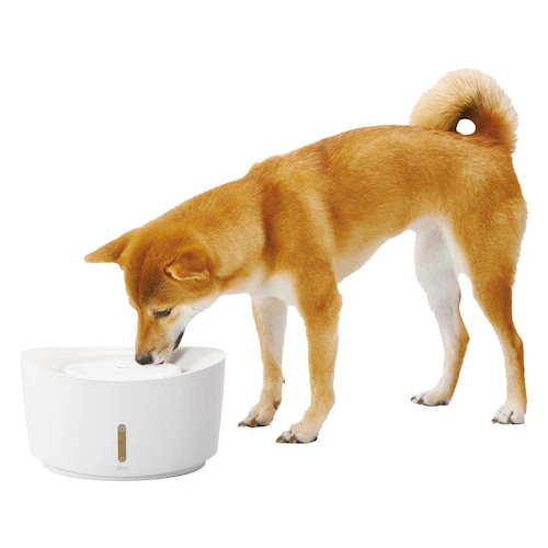 GEX �s���A�N���X�^�� �E�F�� 2.5L ���p �z���C�g_1
