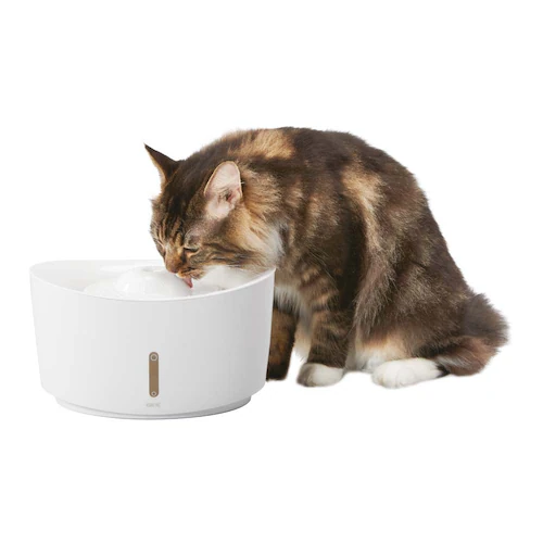 GEX �s���A�N���X�^�� �E�F�� 2.5L �L�p �z���C�g_1