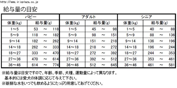 ���^�ʂ̖ڈ�