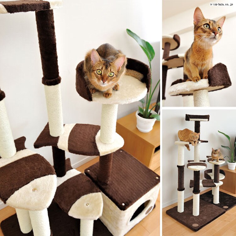 猫のおあそびポール お魚ファミリー ミドルタイプ