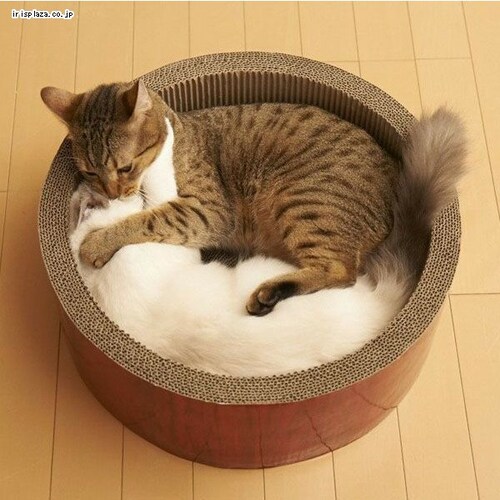 GCNGCc KKT[N XNb`[ rbO _1