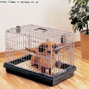 【クリックで詳細表示】折りたたみケージ OK-58N グリーン・別売りスノコ OKN-580    キャリーや簡易ケージとして便利なコンパクトに折りたためるケージです。ケージは上下方向に折りたたむことができます。トレーは抗菌加工を施しています。ペットの足に優しい木製のスノコが付いています。※折りたたみケージOK-58Nは完売いたしました。