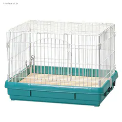 �y�󂠂�z���r�b�g�P�[�W UK-650  �p�X�e���O���[��