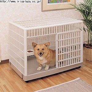 【クリックで詳細表示】プラケージ 1000 ベージュ【買い回りキャンペーン対象商品】