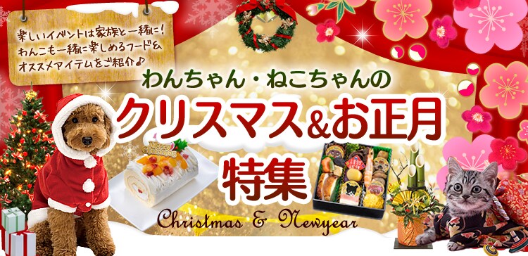 わんちゃんとねこちゃんのクリスマス特集