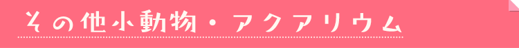 �A�N�A���E��