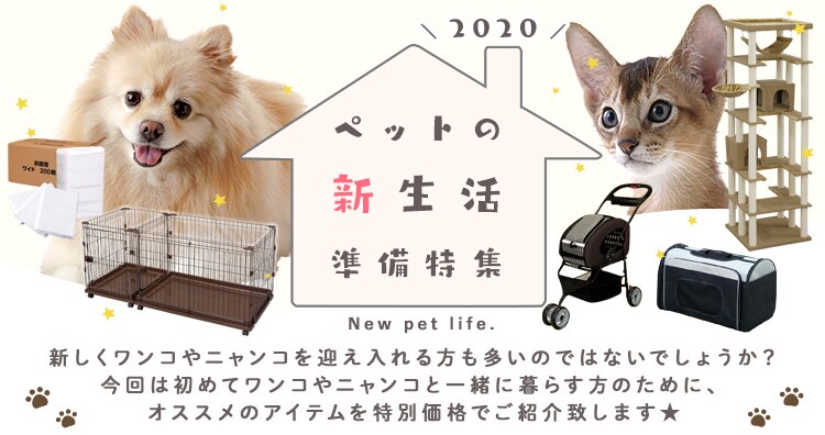 �Ŕ摜