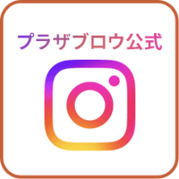 �v���U�u���E�����C���X�^�O����