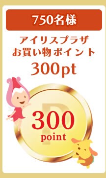 300ポイント