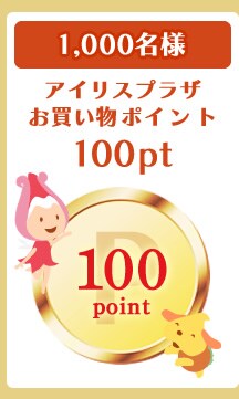 100ポイント