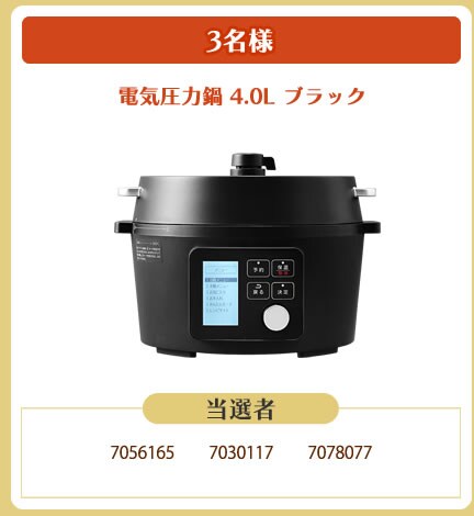 電気圧力鍋 4.0L
