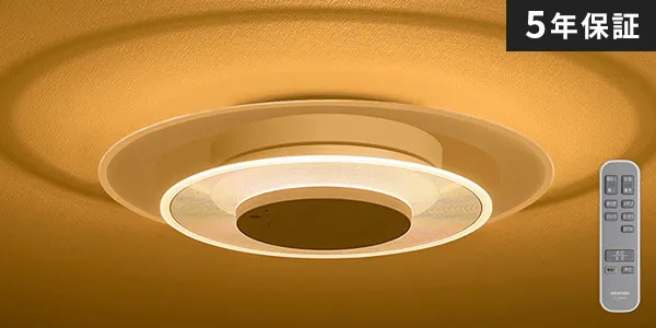 �V�[�����O���C�g �����p�l��