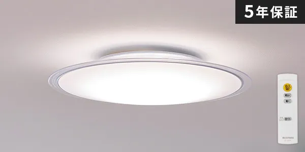 �V�[�����O���C�g �ߓd���f��