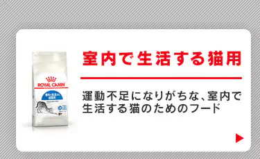 室内で生活する猫用