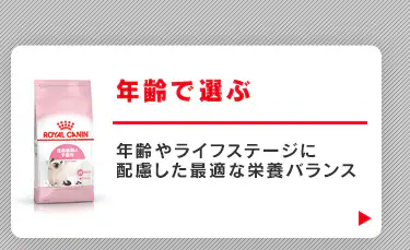 年齢で選ぶ