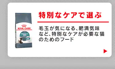 特別なケアで選ぶ