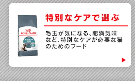 特別なケアで選ぶ