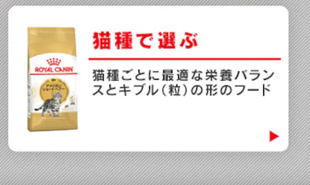 猫種で選ぶ