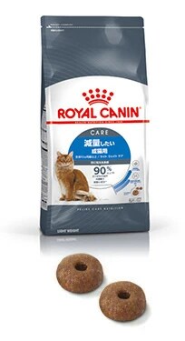 ロイヤルカナンのキャットフード徹底ガイド｜猫種・年齢・健康別に最適