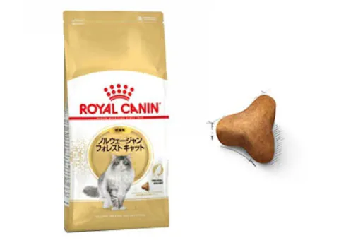 専用フード 成猫用