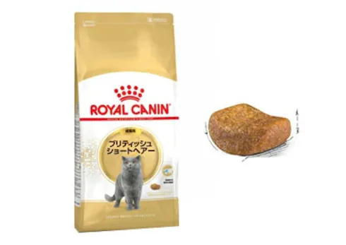 専用フード 成猫用