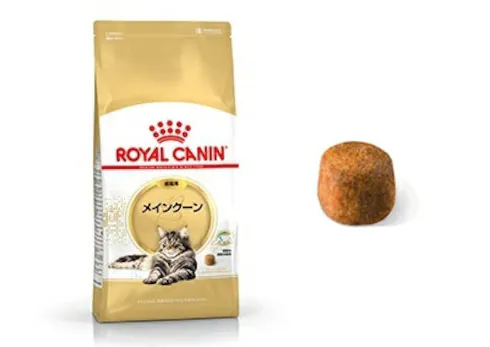 専用フード 成猫用