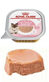 �}�U�[���x�r�[�L���b�g