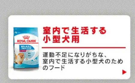 室内で生活する小型犬用