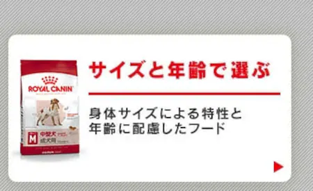 サイズと年齢で選ぶ