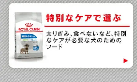 特別なケアで選ぶ