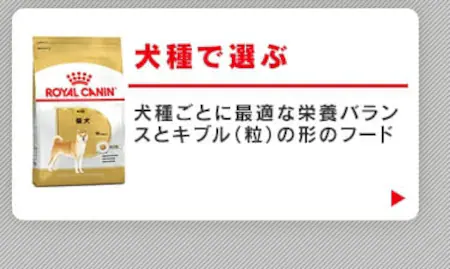 犬種で選ぶ