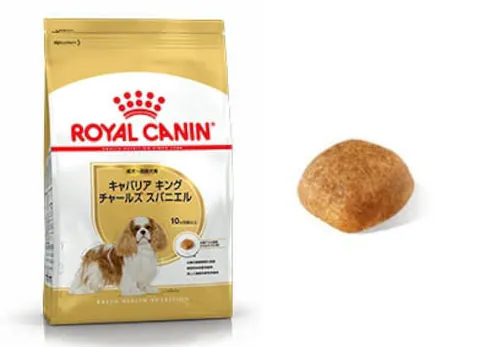 成犬〜高齢犬用