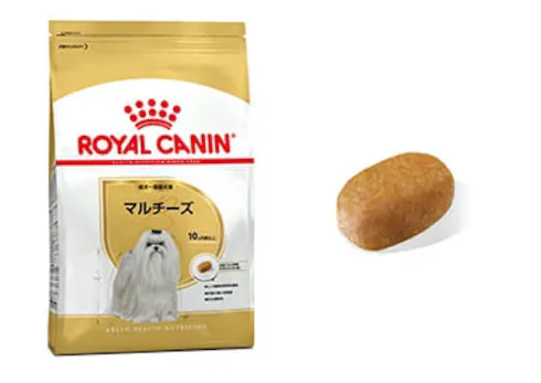 マルチーズ