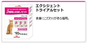�G�N�V�W�F���g�g���C�A���Z�b�g