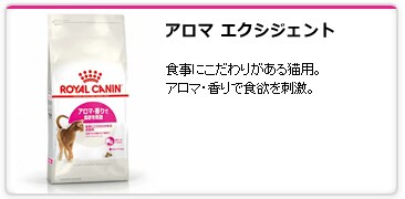�A���}�@�G�N�V�W�F���g