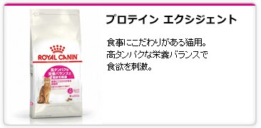 �v���e�C�� �G�N�V�W�F���g