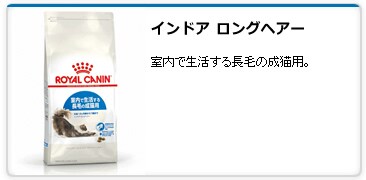 �C���h�A �����O�w�A�[