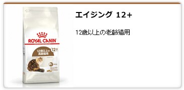 �G�C�W���O 12+