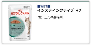 �C���X�e�B���N�e�B�u +7
