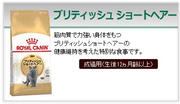 �u���e�B�b�V�� �V���[�g�w�A�[