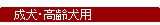 �����E����p