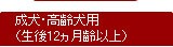 �����E����p�i����12������ȏ�j