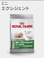 �G�N�V�W�F���g