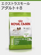 �A�_���g+8