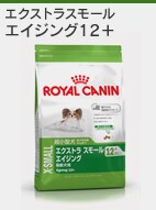 �G�C�W���O12+